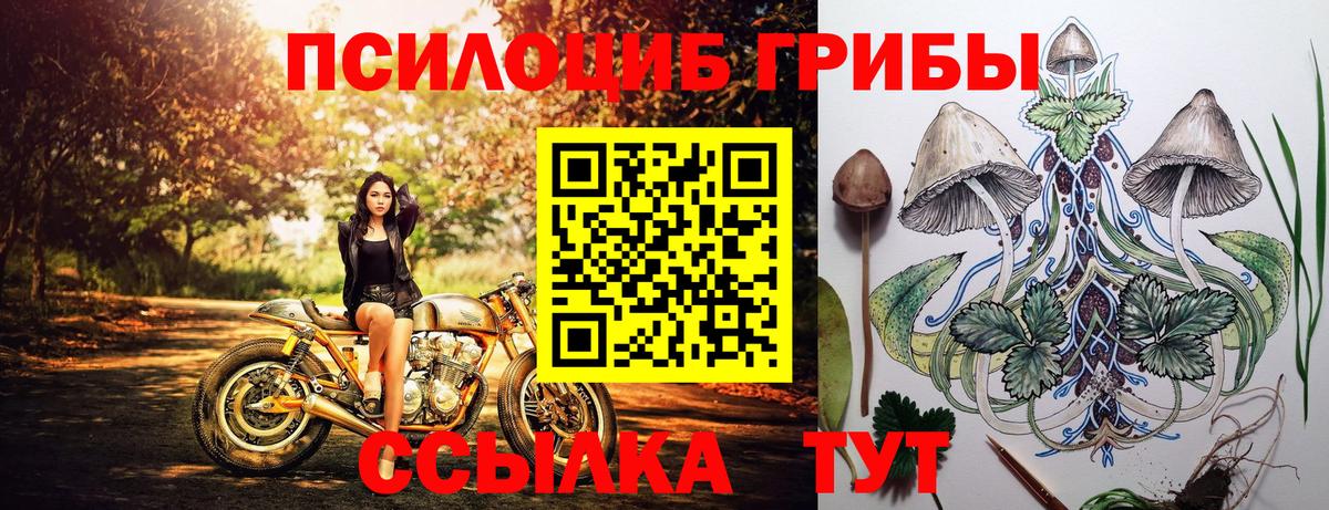 Галлюциногенные грибы Psilocybine cubensis Чебаркуль